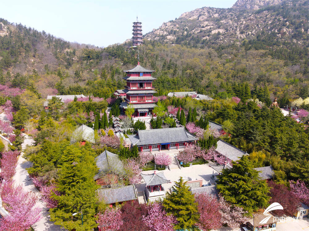 花开赤山风景区里赏美景