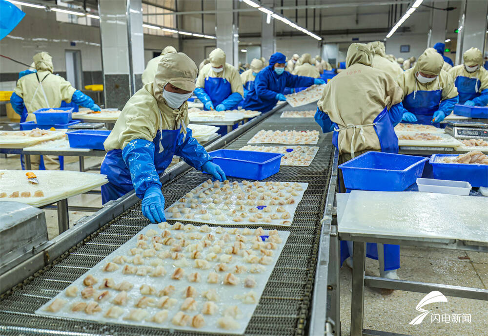 荣成海洋食品出口加工忙