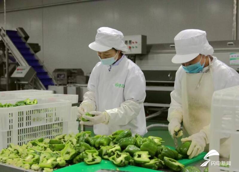 新泰市現代食品產業鏈專班發展預製菜產業構建全產業鏈體系