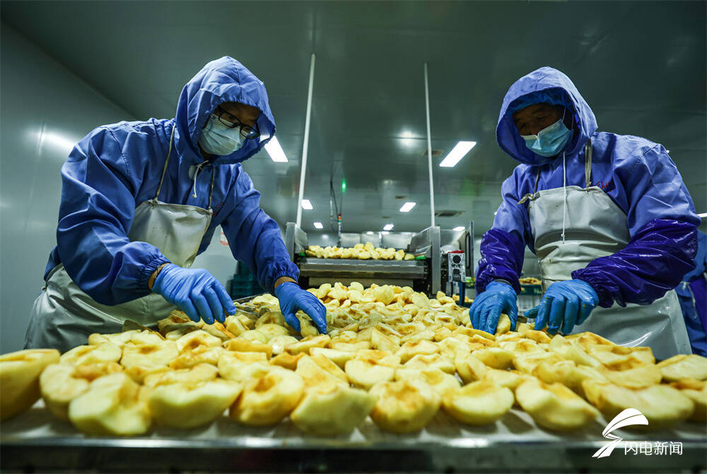 山东荣成苹果果脯热销网络