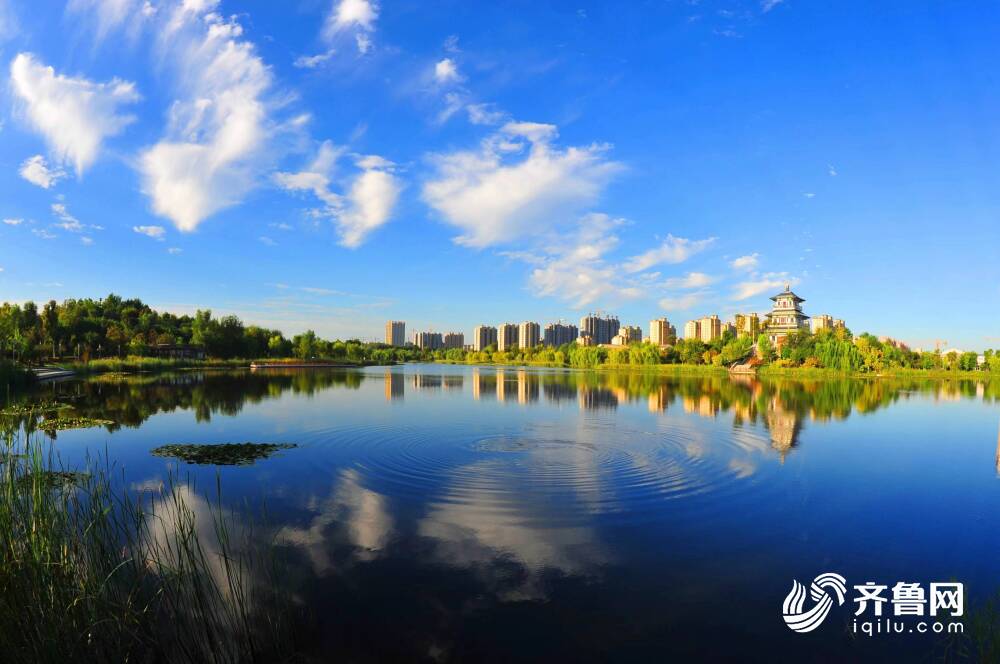 稳中向好宁阳县上半年地区生产总值同比增长35