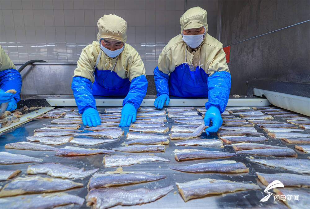 山东荣成水产品出口加工忙