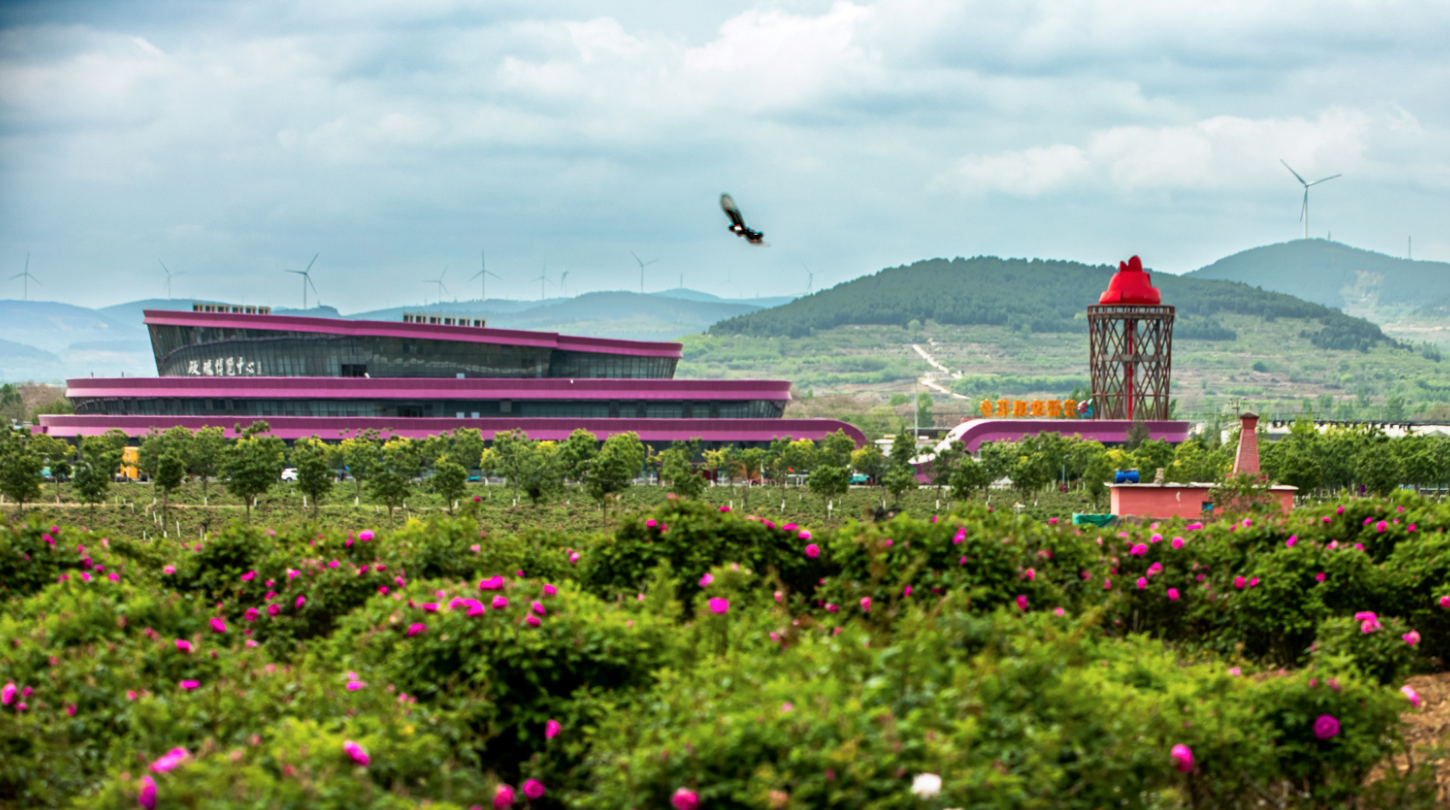 家兴致勃勃地参观了企业集农业示范园(世界玫瑰博览中心)及高端产业园