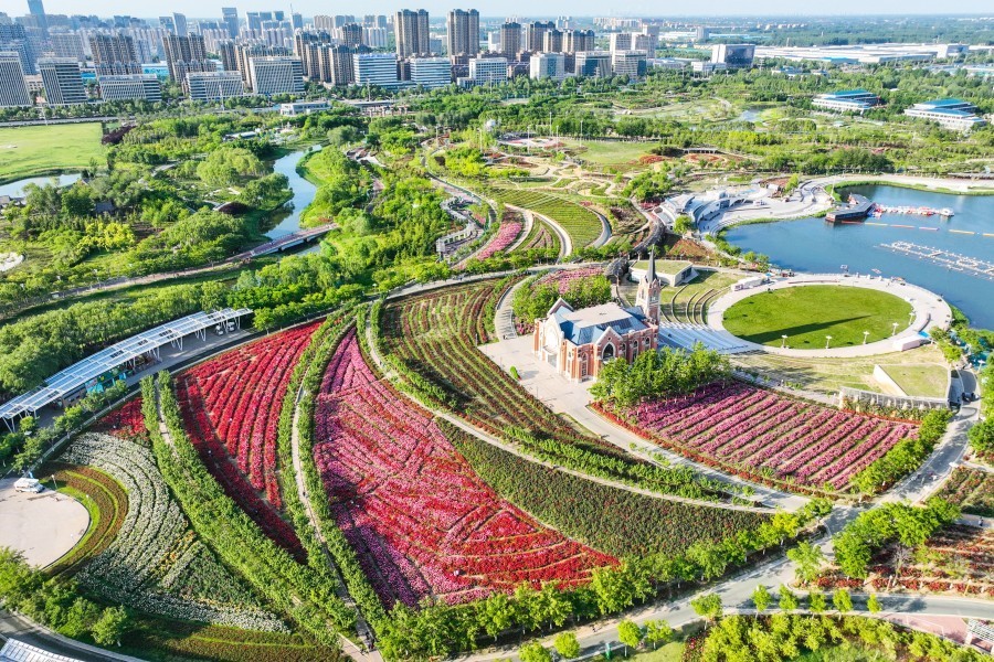 聊城市月季公园简介图片