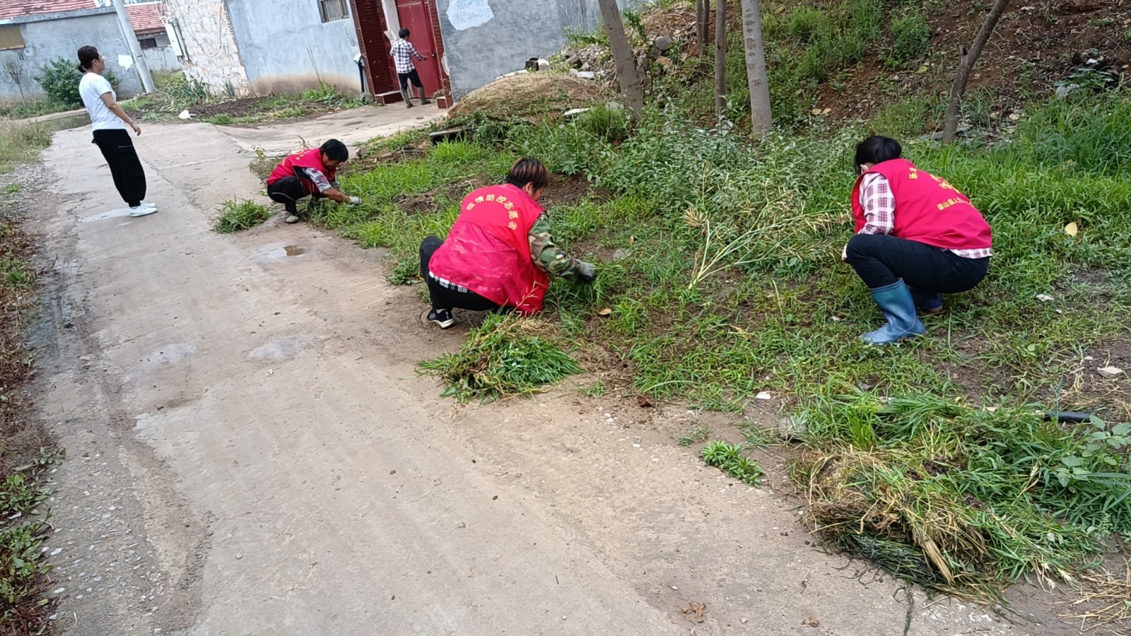 微山县两城镇持续开展人居环境田间地头专项环境整治活动