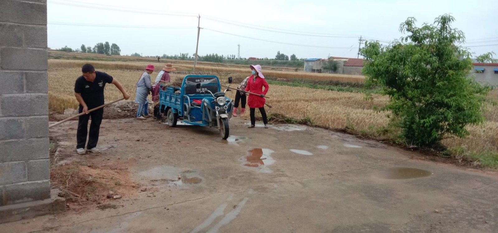 微山县两城镇持续开展人居环境田间地头专项环境整治活动