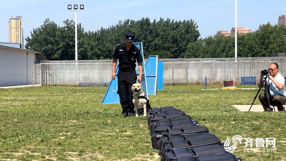 公安局警犬基地图片