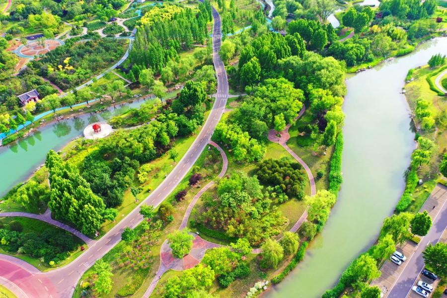 夏日的凤凰苑植物园景色又养眼又治愈