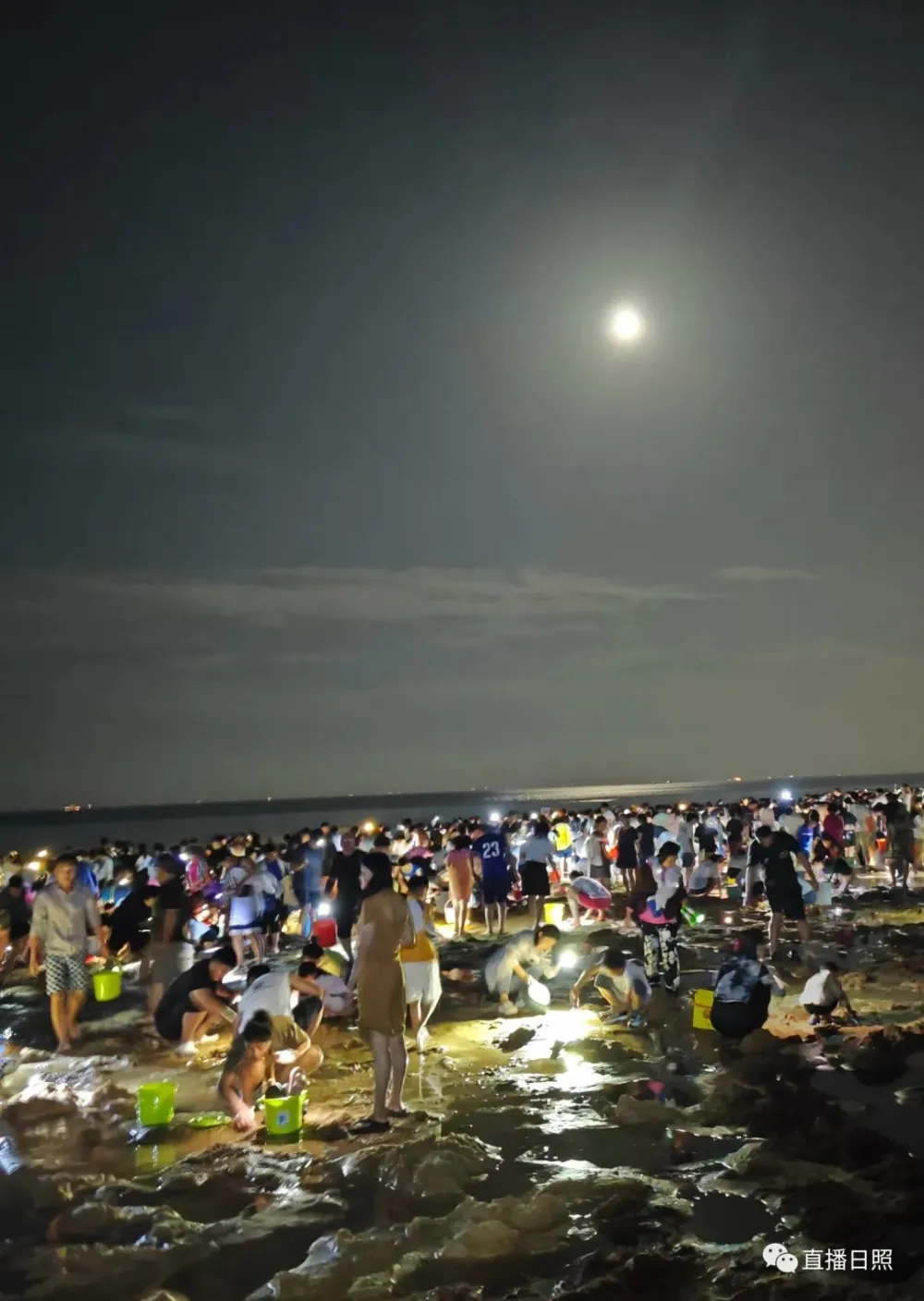 日照万人赶海场面壮观蚊帐都用上了这几天鱼为啥这么多