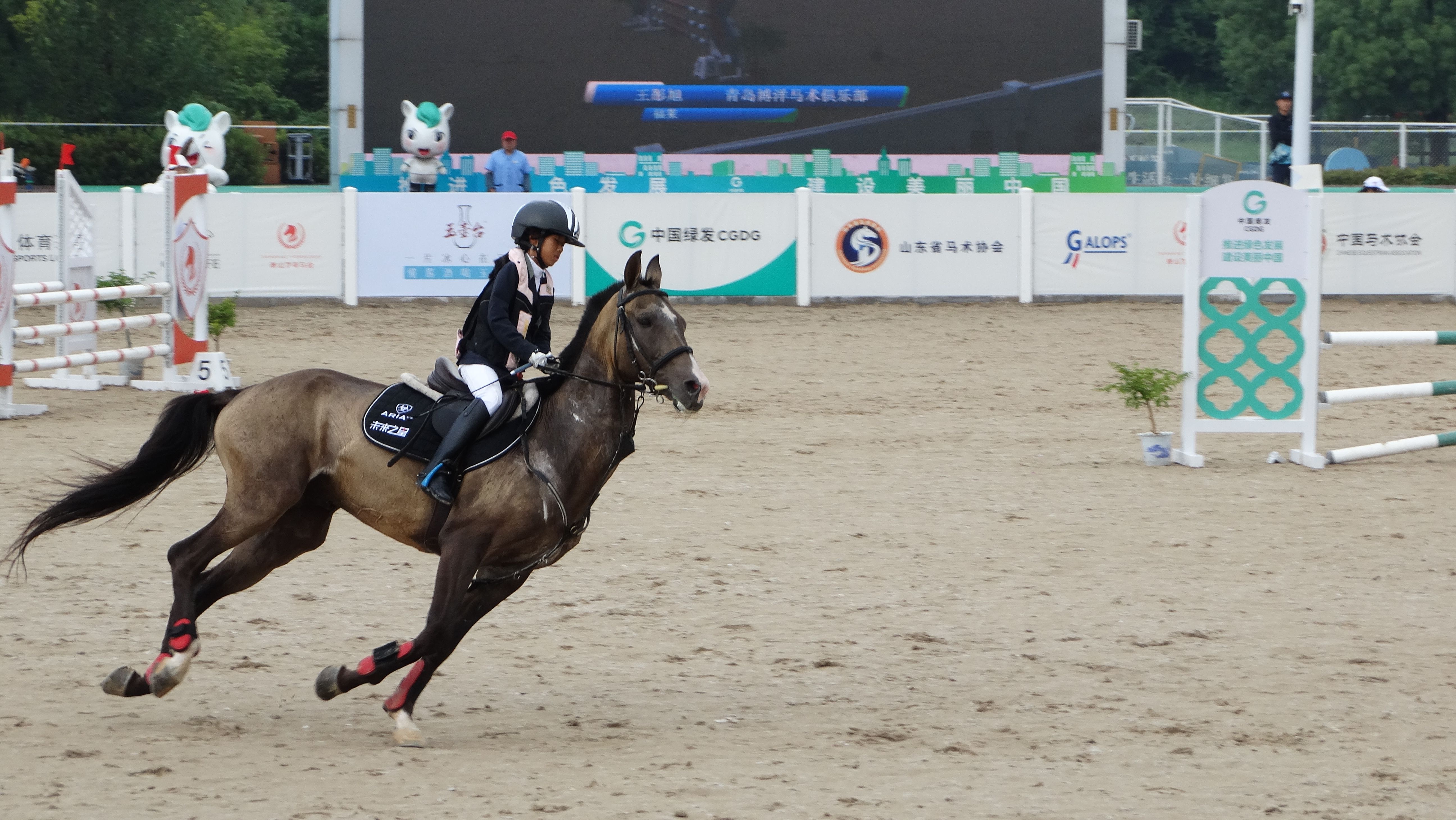 2023香港今期开奖号码马会（香港最近50期开奖记录） 2023香港今期开奖号码马会（香港近来
50期开奖记录


）〔202o年香港开码结果〕 新闻资讯