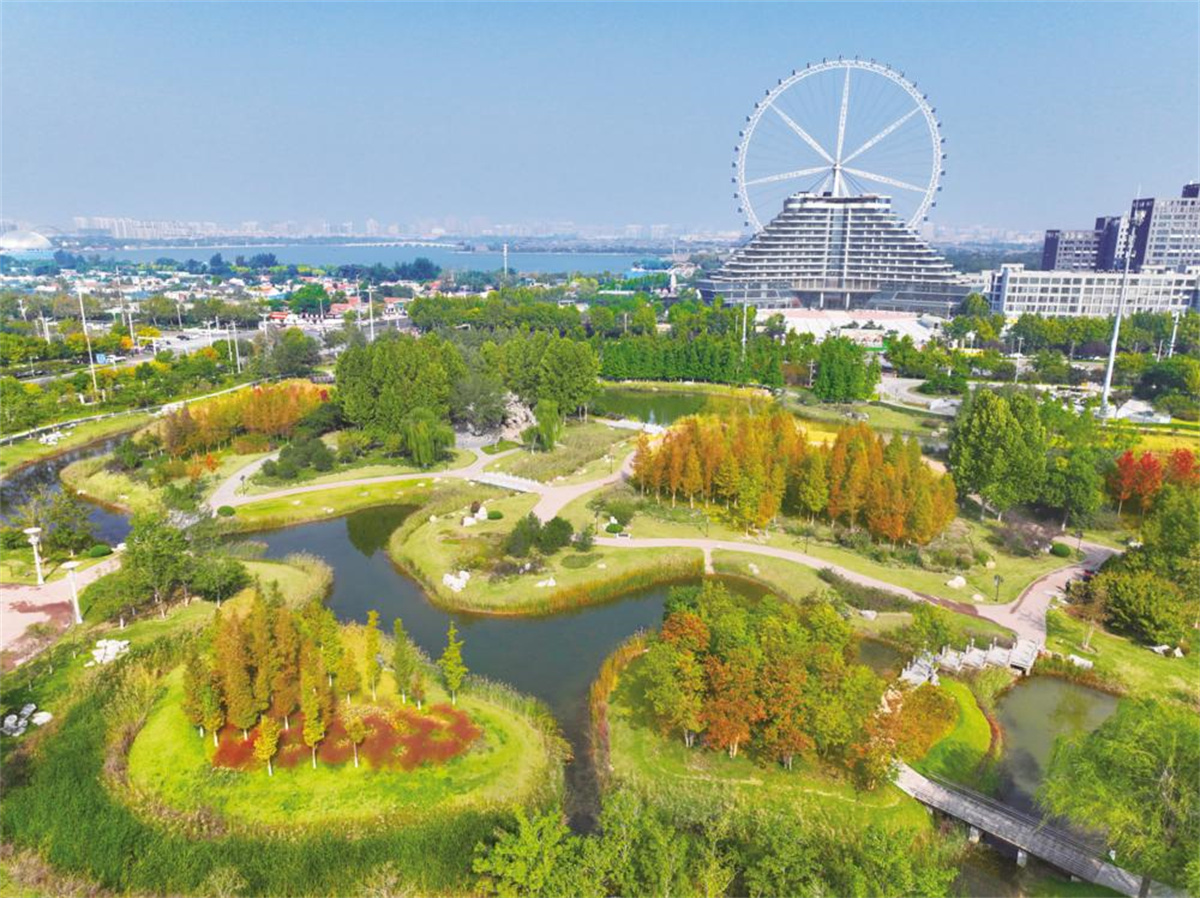 花坛艳丽多姿东昌路秋意渐浓郁郁葱葱的东阿药王山湖滨公园野花盛开