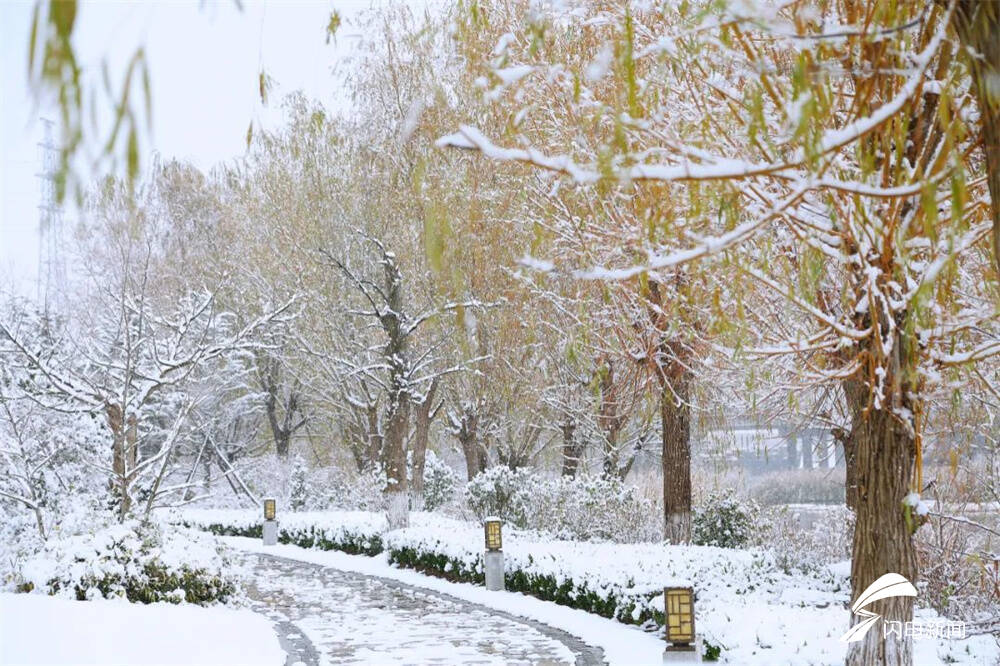 跟随一组雪景图感受威海这座城市的素雅和灵动