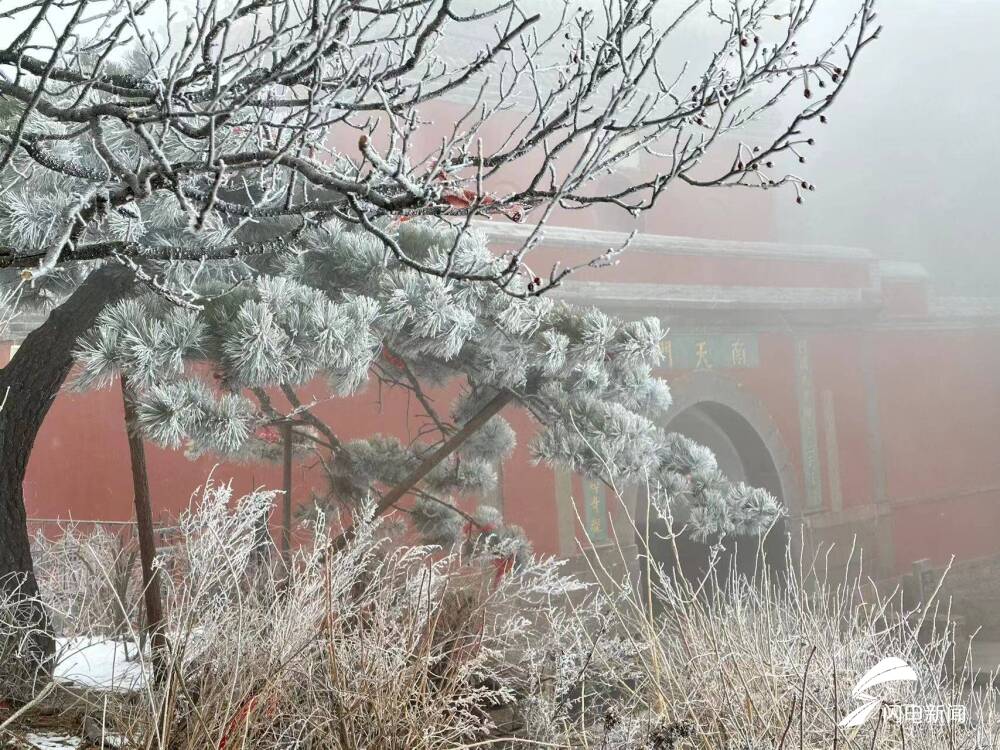 泰山雾凇图片