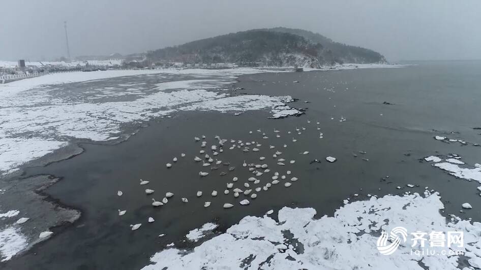 这个元旦 来威海火炬八街体验面朝大海的浪漫吧_威海民生_威海_齐鲁网