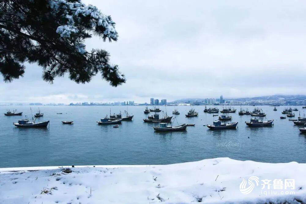 威海春节期间免费景点图片