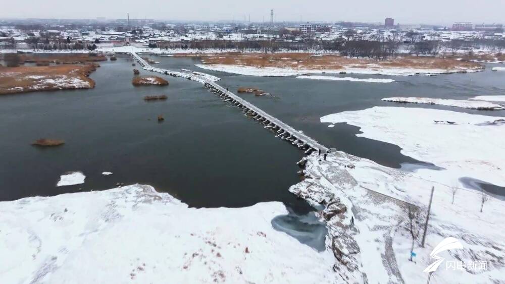 诗画山东丨雪后汶河生态美水鸟翔集翩翩来