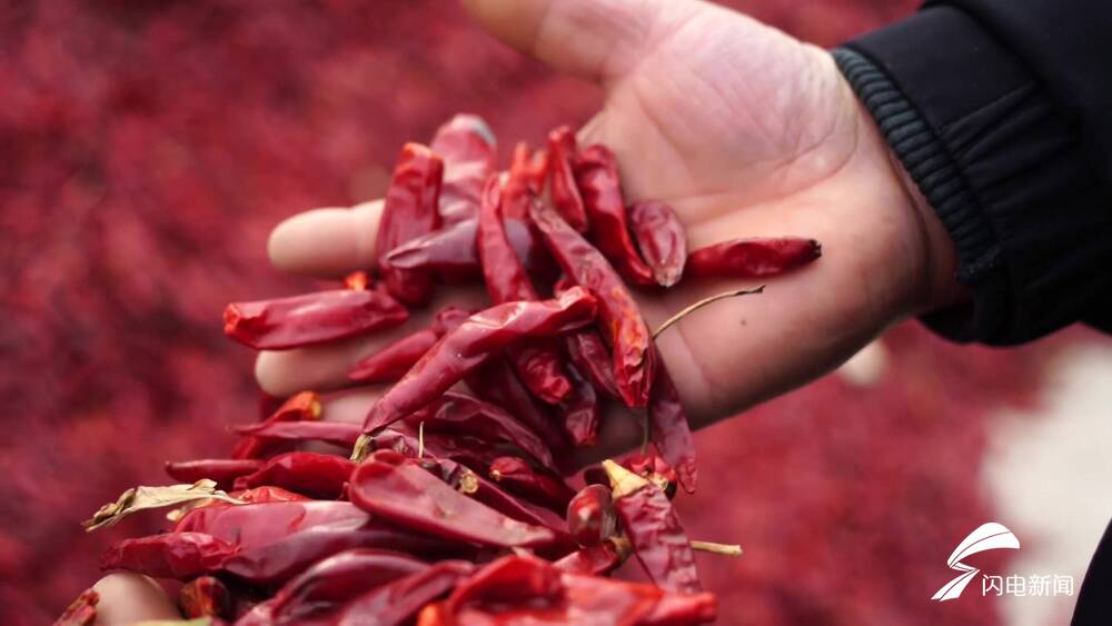 武城辣椒产业贷来春天亿元贷款助力辣椒产业发展