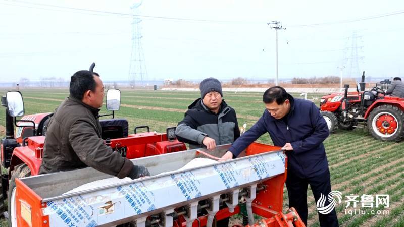 雷火电竞德州陵城：小麦春管因地制宜 多环节强化技术支撑(图2)