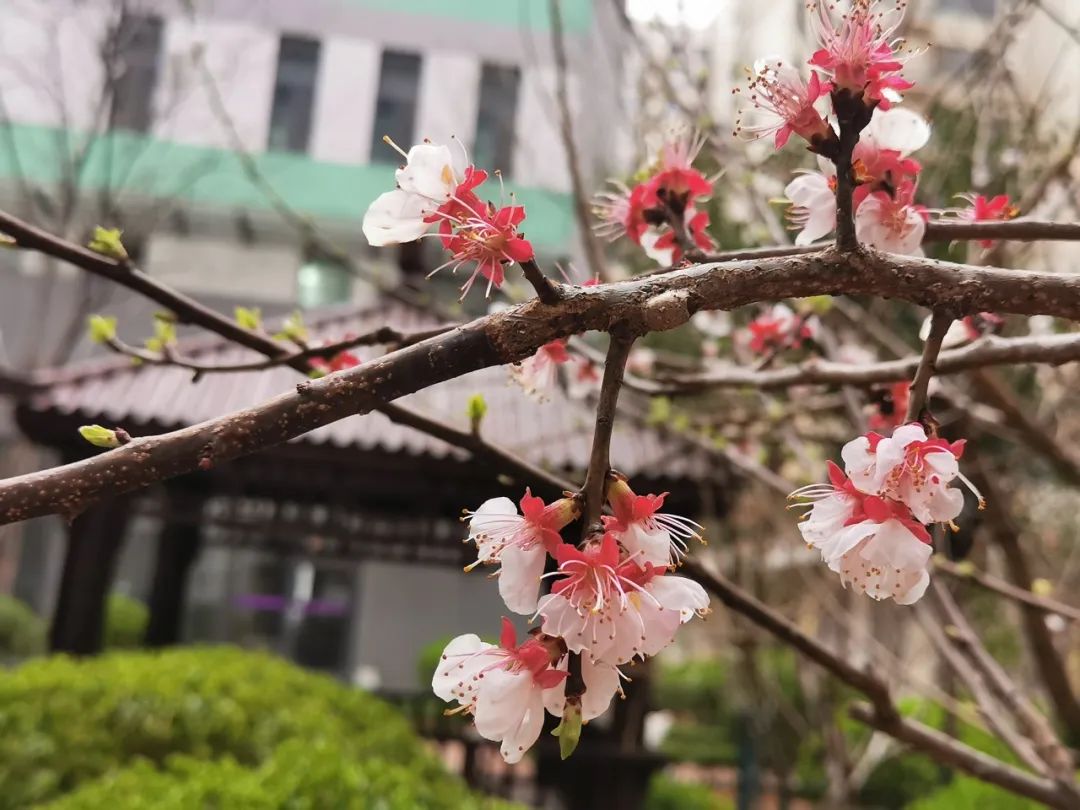 春分这天邂逅校花
