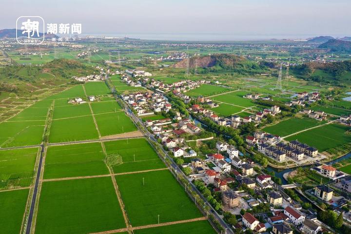 0ac197db669742ab991b44c0d19d07be.jpg