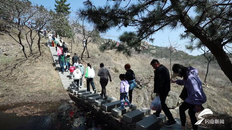 花海仙山锦绣五莲第十二届五莲杜鹃花节开幕
