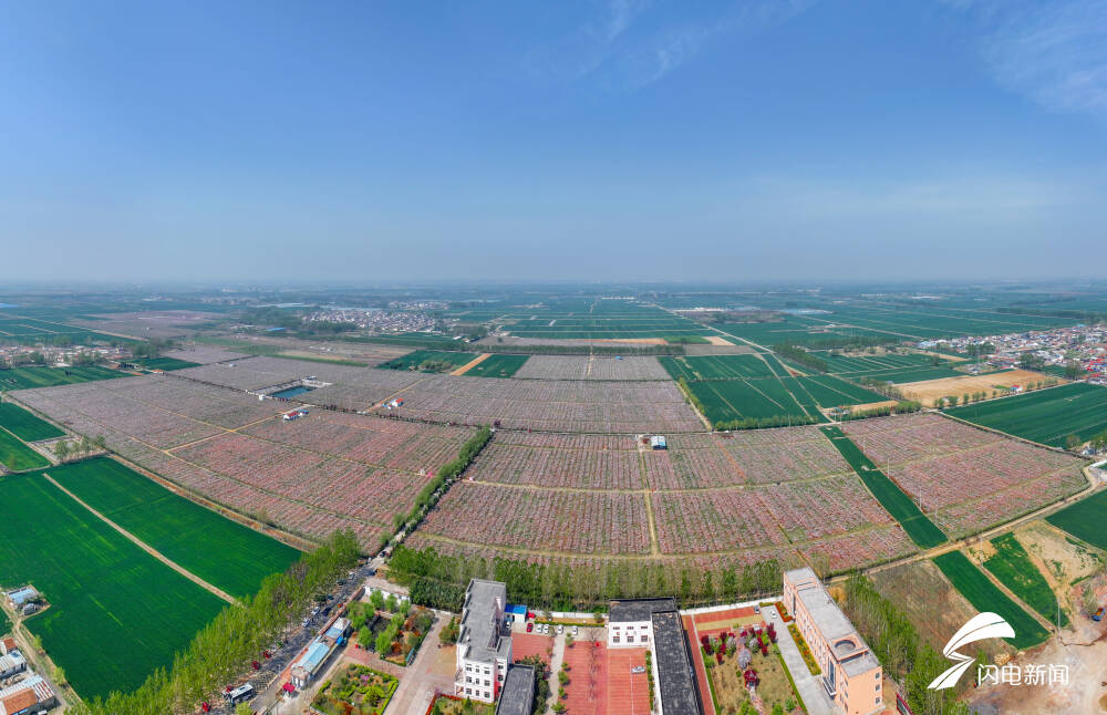 桃源仙境出彩店头临沭县店头镇第六届桃花文化旅游节开幕
