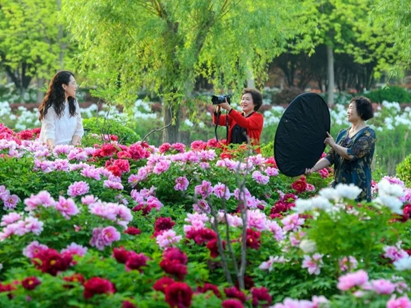Beautiful Shandong: Flower appreciation boosts spring economy