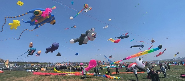 Annual int'l festival kicks off in 'capital of kites'
