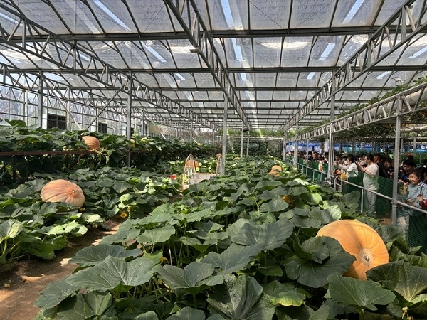 Int'l vegetable sci-tech expo held in Shouguang