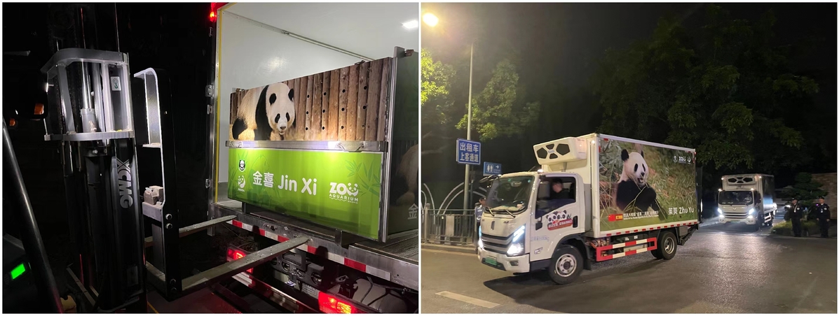 Giant pandas embark on new journey to Spain