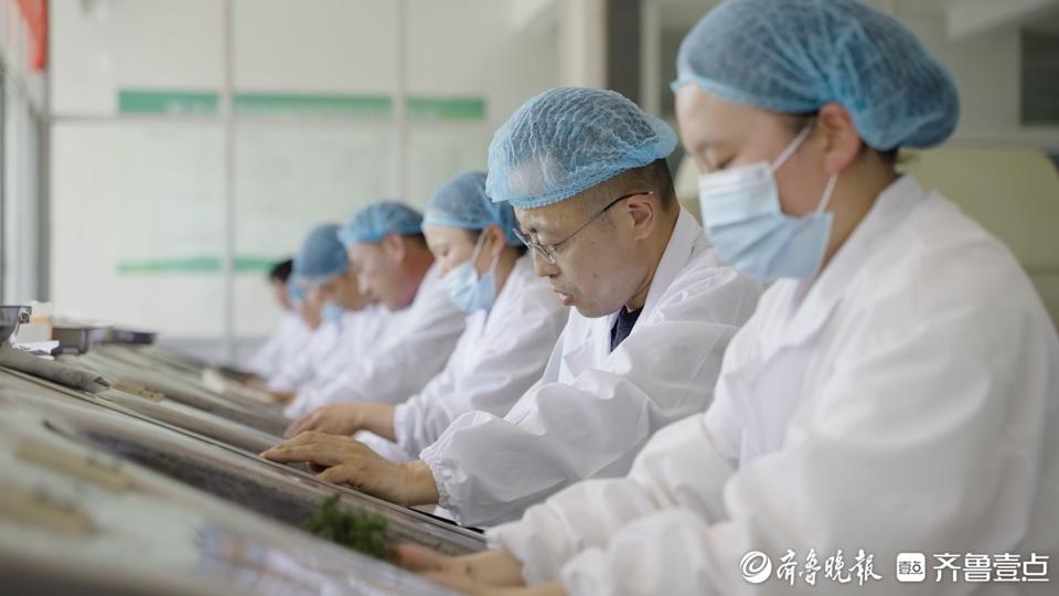 以茶会友,茶旅融合!莒县浮来青第七届茶文化旅游节开幕