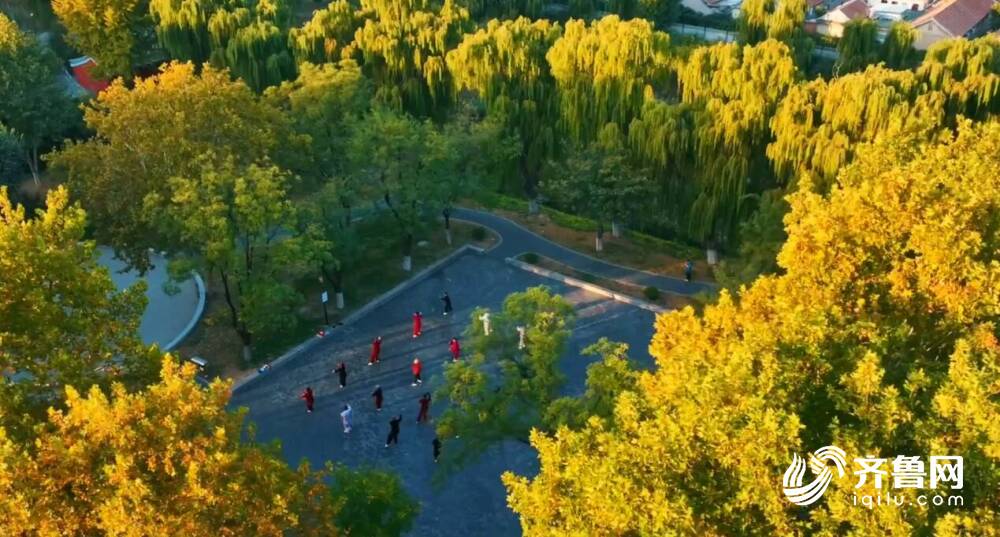 67潍坊诸城67岔道口社区:家门口的"文化圈" 擘画社区文化"新图景"