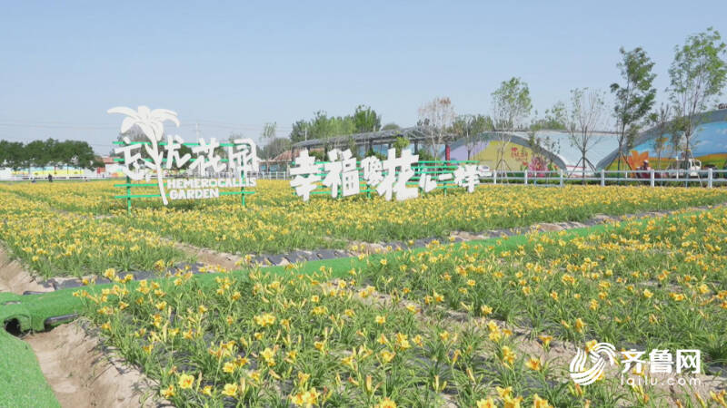 临邑:开发特色,深度乡村旅游产品 激发文旅新活力_德州民生_德州_齐鲁