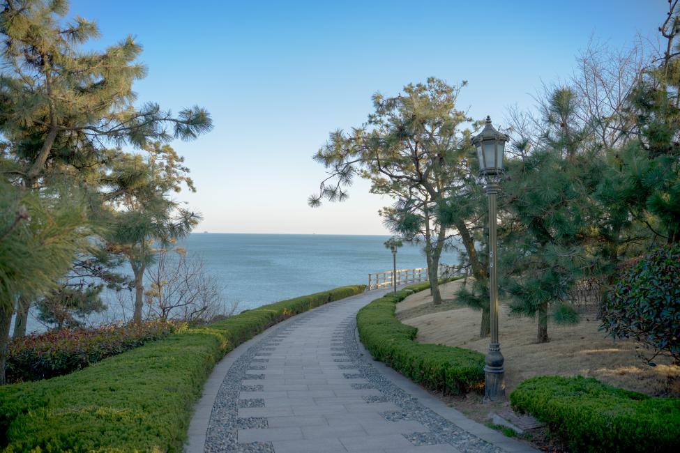 出行指南:从青岛极地海洋公园出发,乘坐317路公交车至珠海支路站下车