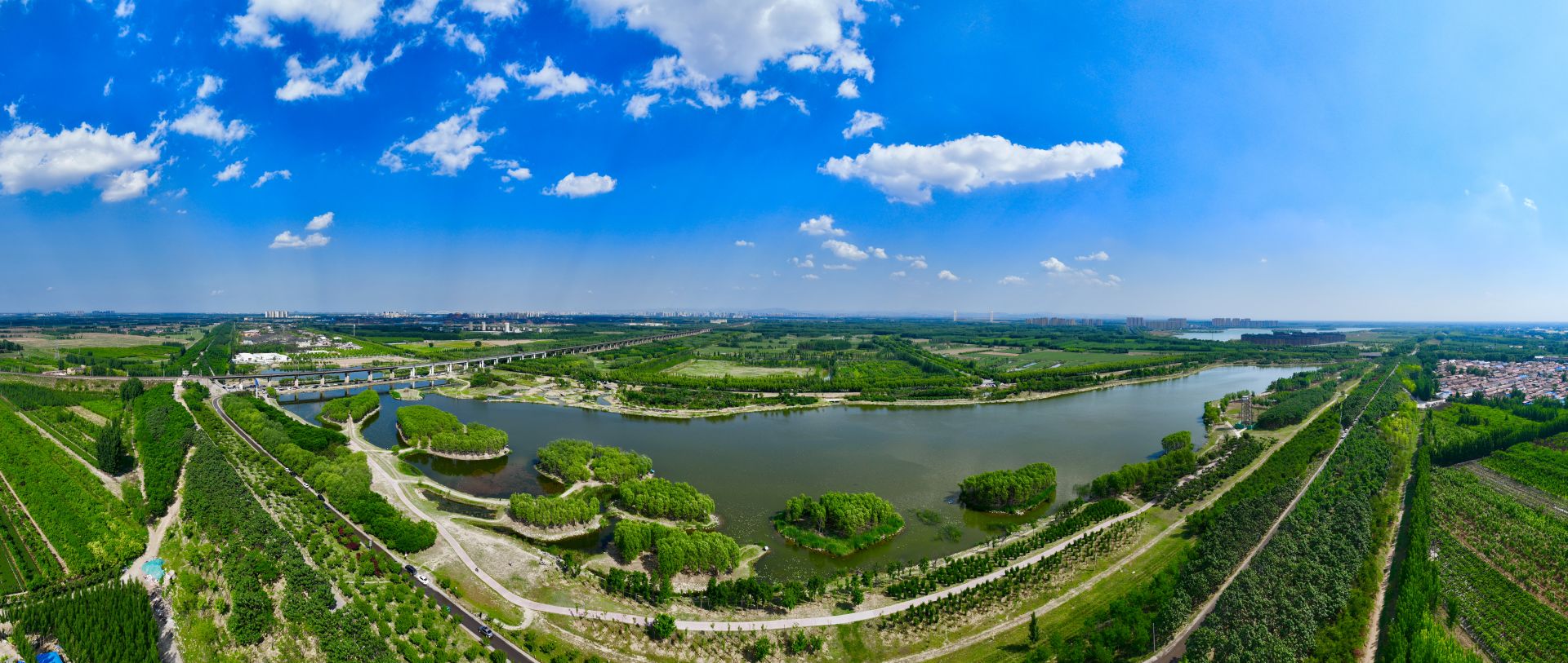 齐河黄河湿地公园图片