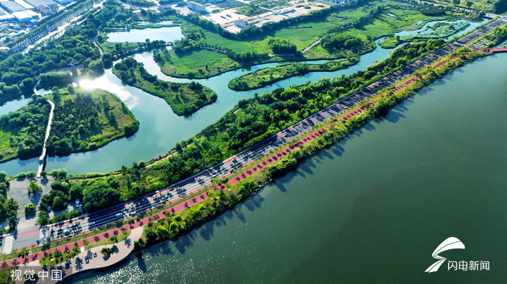 威海桑沟湾湿地公园绿树荫浓生机盎然正当时