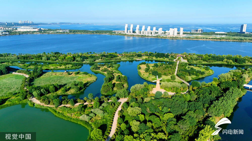 桑沟湾湿地公园图片