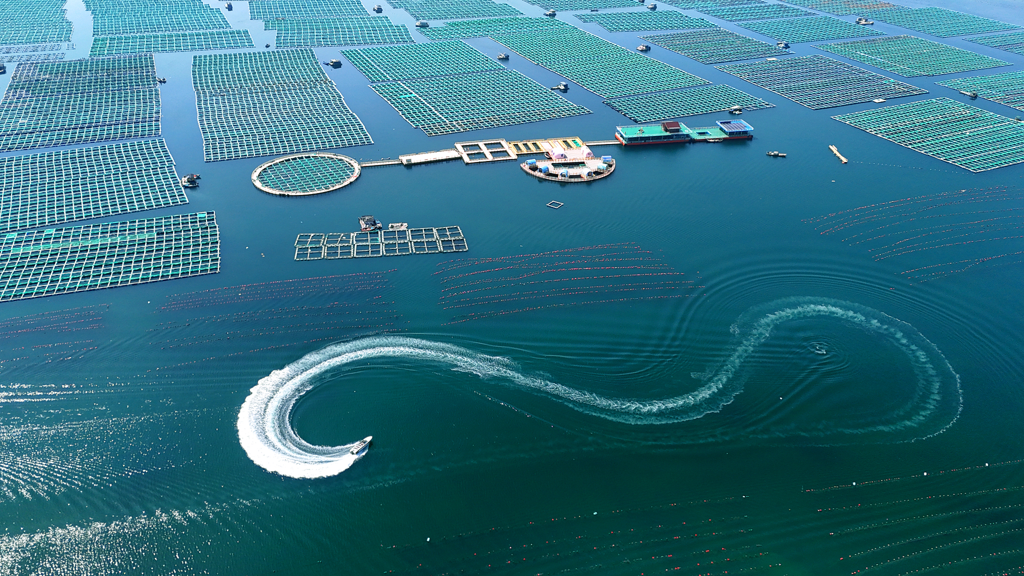 A bird's-eye view of Sanggou Bay Ecological Marine Ranch in Shidao Management area of Rongcheng City, east China's Shandong Province, May 16, 2024. /CFP
