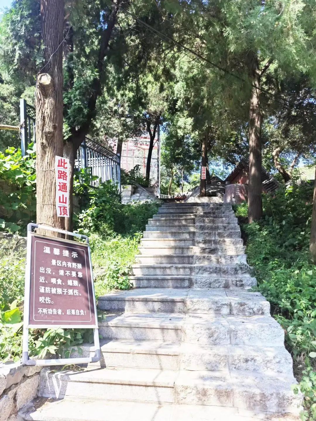鄒平鶴伴山景區(qū)道觀維修 游線調(diào)整