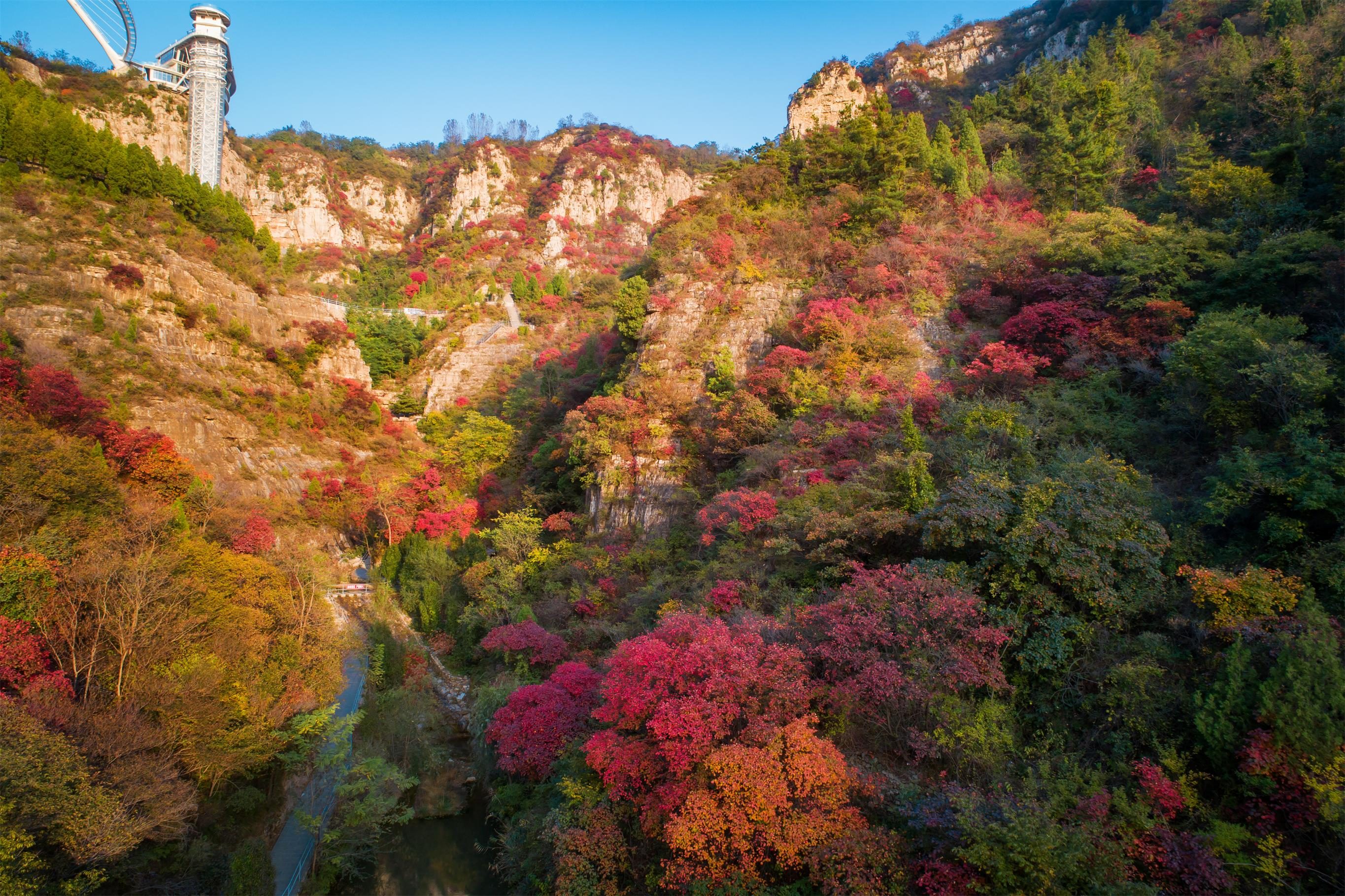 >潭溪山旅游度假区>在潭溪山赏红叶,不仅可以欣赏到美丽的自然风光,还