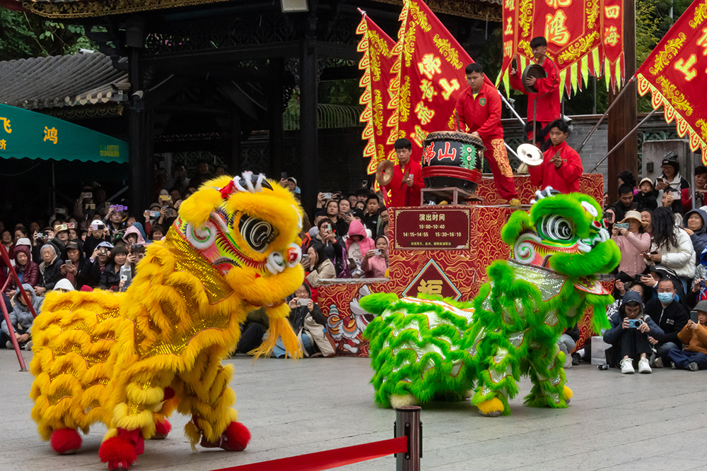 圖為廣東省佛山市祖廟的醒獅表演。