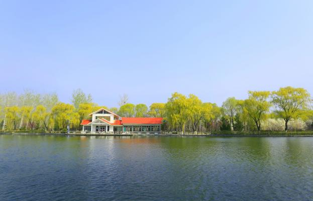车轮上的春日诗行！来济南植物园开启自驾游春光行