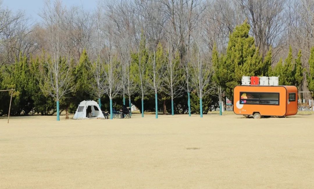 车轮上的春日诗行！来济南植物园开启自驾游春光行
