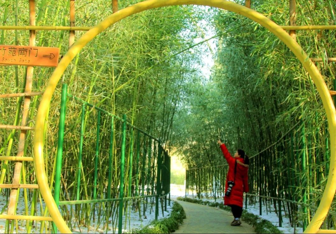 车轮上的春日诗行！来济南植物园开启自驾游春光行