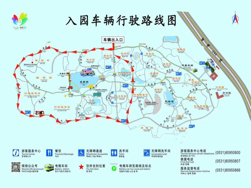 车轮上的春日诗行！来济南植物园开启自驾游春光行