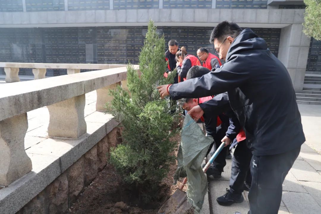 鄒平市退役軍人事務局開展“紅色傳承 植綠護園”義務植樹活動