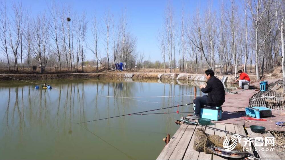 德州武城:能人返乡激发乡村活力(图4)