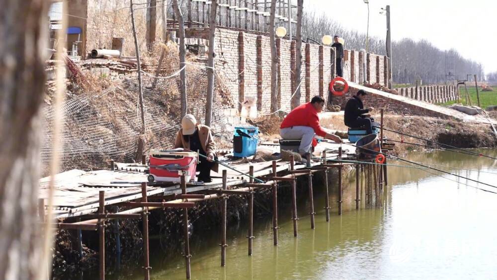 德州武城:能人返乡激发乡村活力(图5)