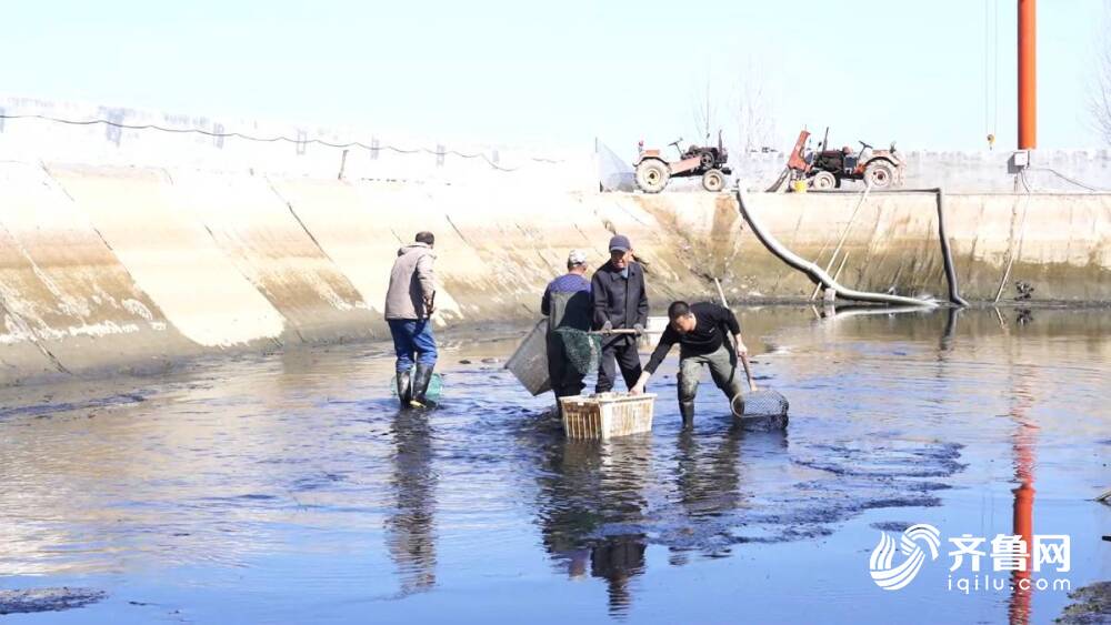 德州武城:能人返乡激发乡村活力(图2)