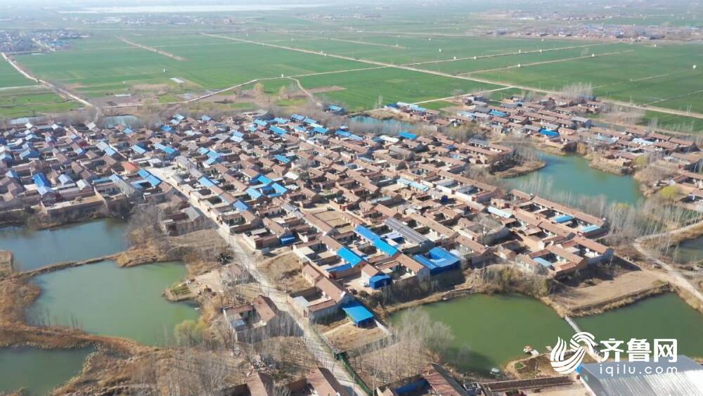 德州武城:能人返乡激发乡村活力(图1)